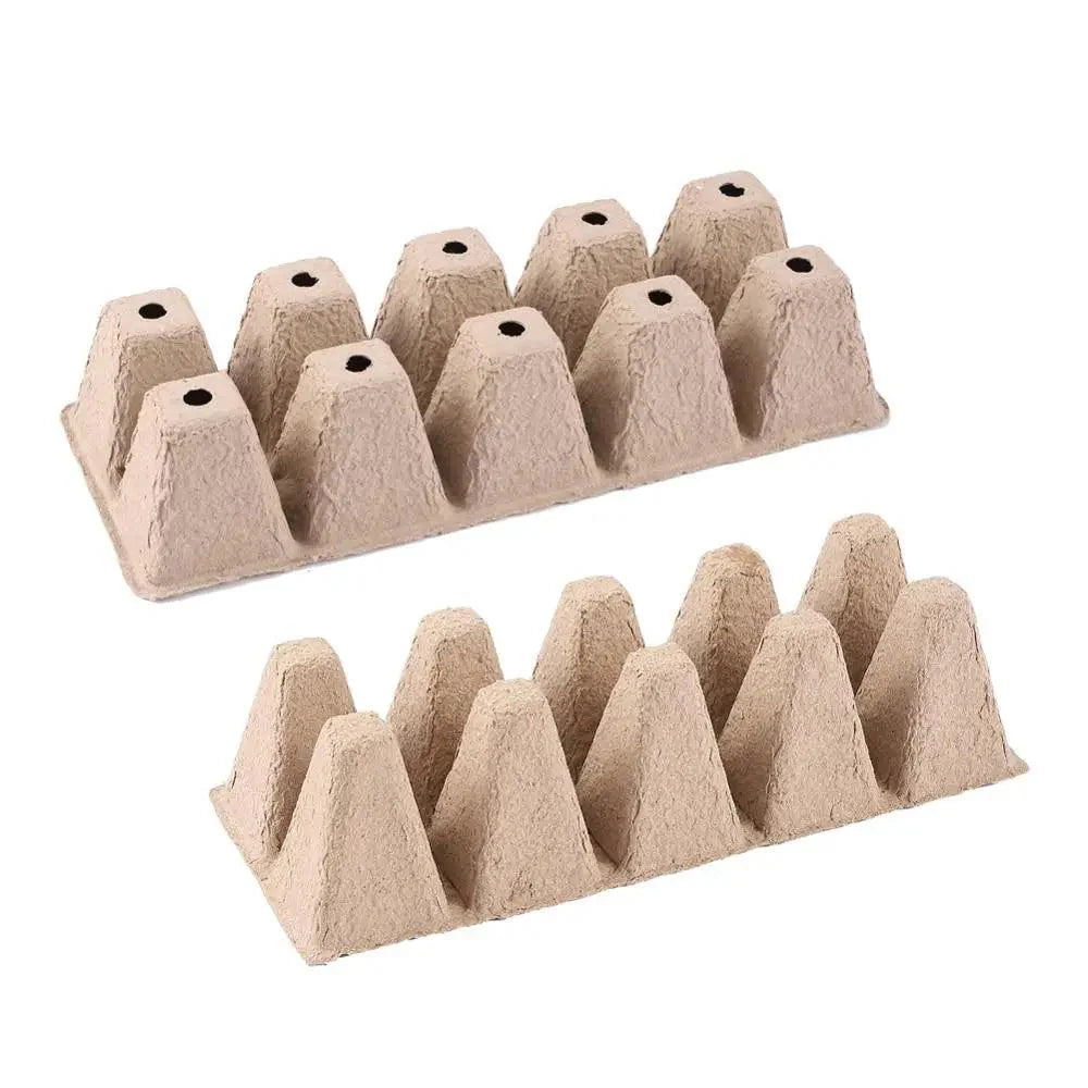 Lisslune | Eco-friendly Biodegradable Seedling Starter Kit with 5 Paper Pulp Pots