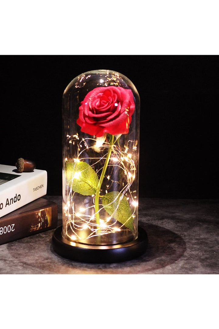 Lisslune | illuminated enchanted rose lamp