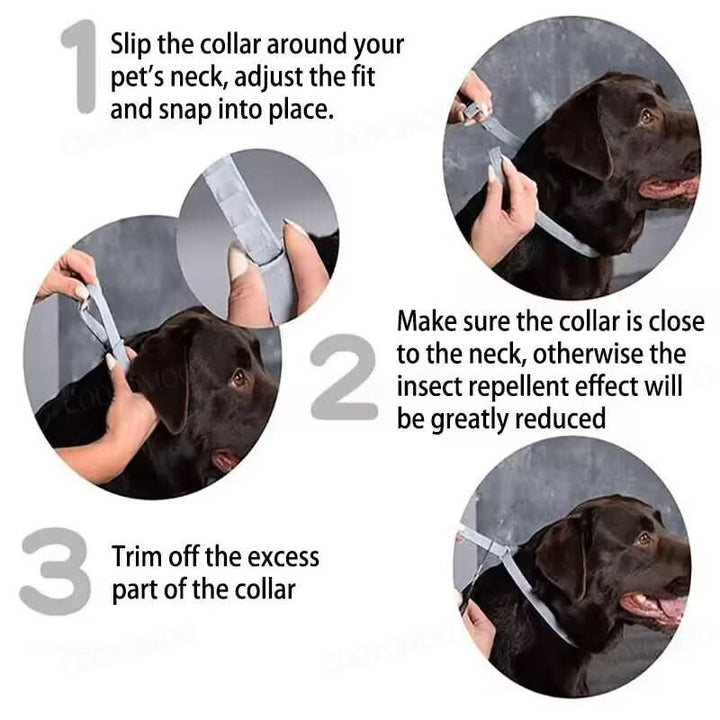 Lisslune | PAWTECT - Anti-tick and flea collar