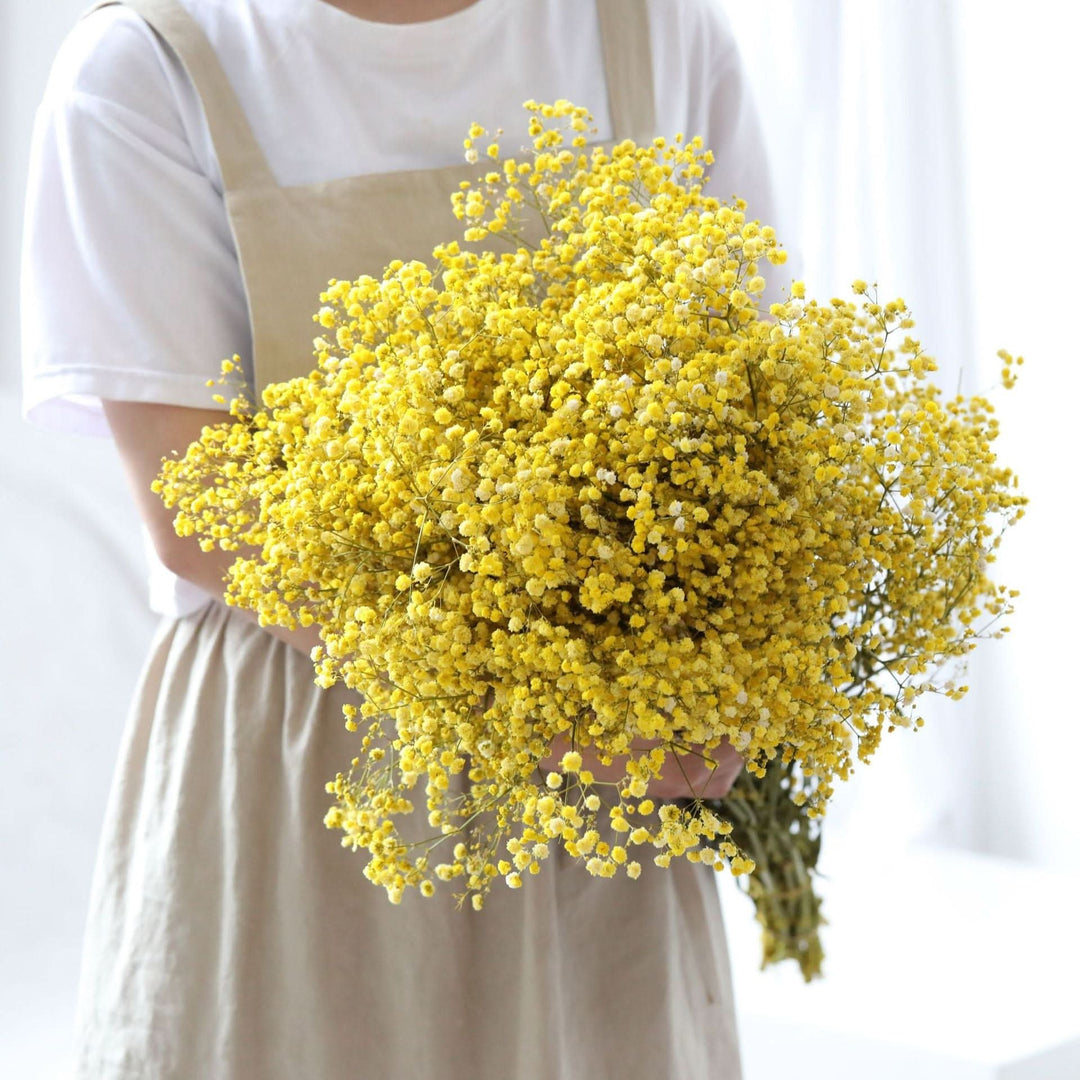 Lisslune | Dried Preserved Gypsophila Flower Bouquet – Natural Decor