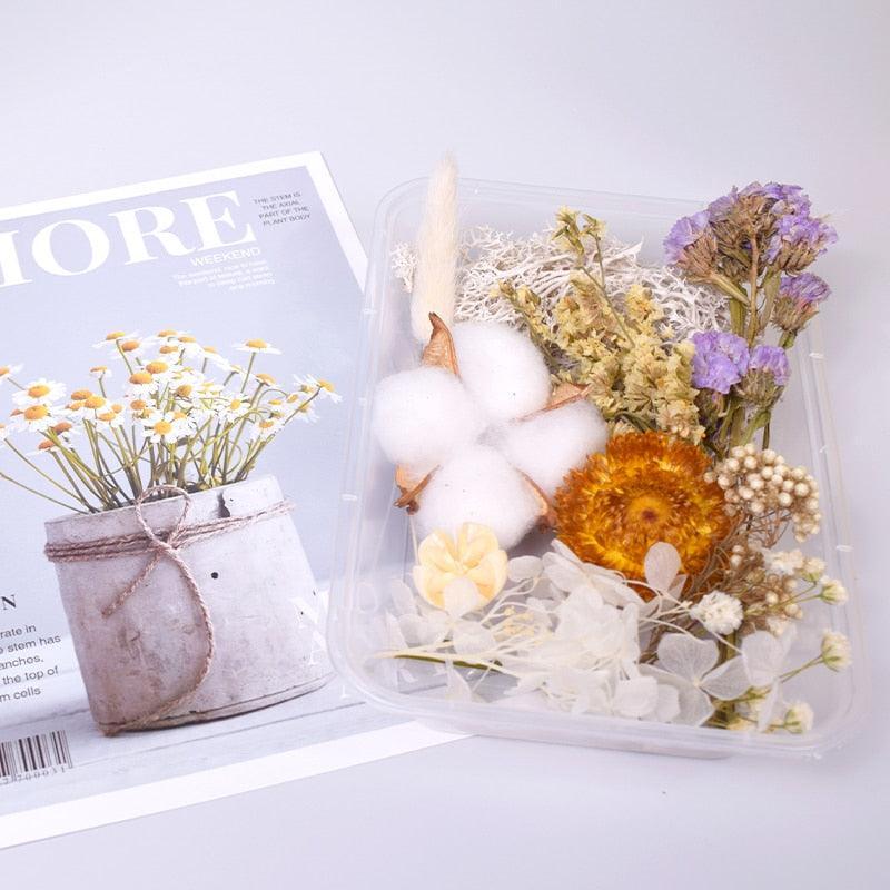 Lisslune | Eternal Floral Inspirations: Preserved Petals for Creative Expressions