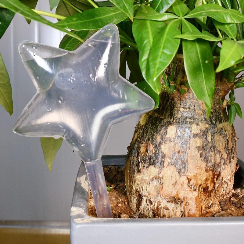 Lisslune | Transparent automatic drip irrigation system for the care of houseplants with water level indicator