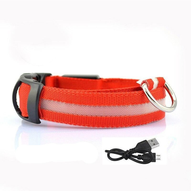 Lisslune | LED USB glowing dog collar