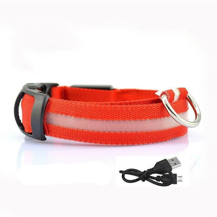 Lisslune | LED USB glowing dog collar