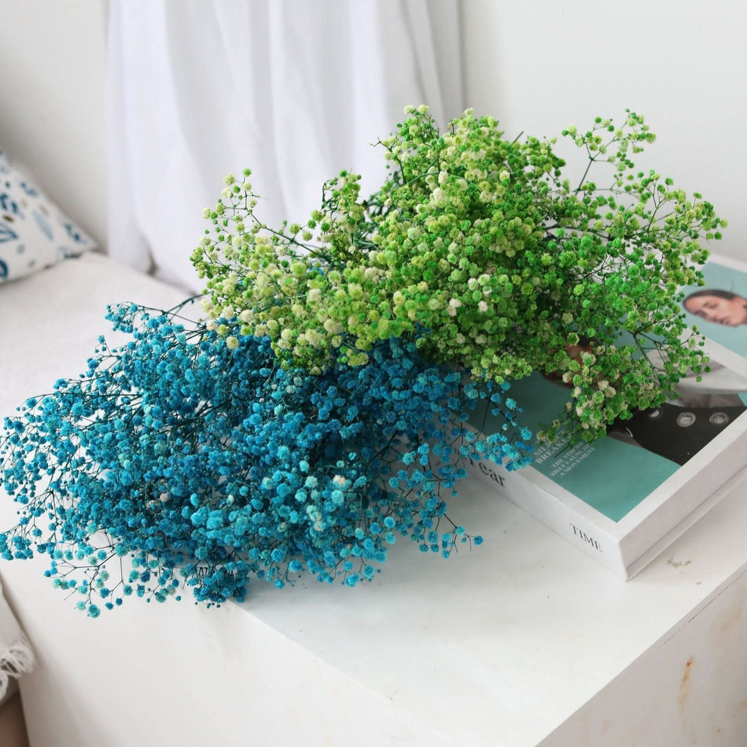 Lisslune | Dried Preserved Gypsophila Flower Bouquet – Natural Decor