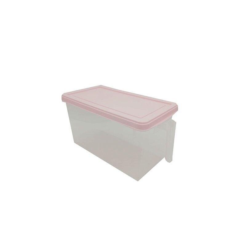 Lisslune | Ultimate Freshness Keeper: Innovative food storage box