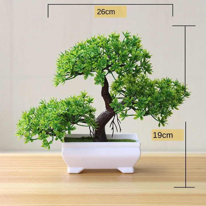 Lisslune | Small Tree Pot Bonsai Plants