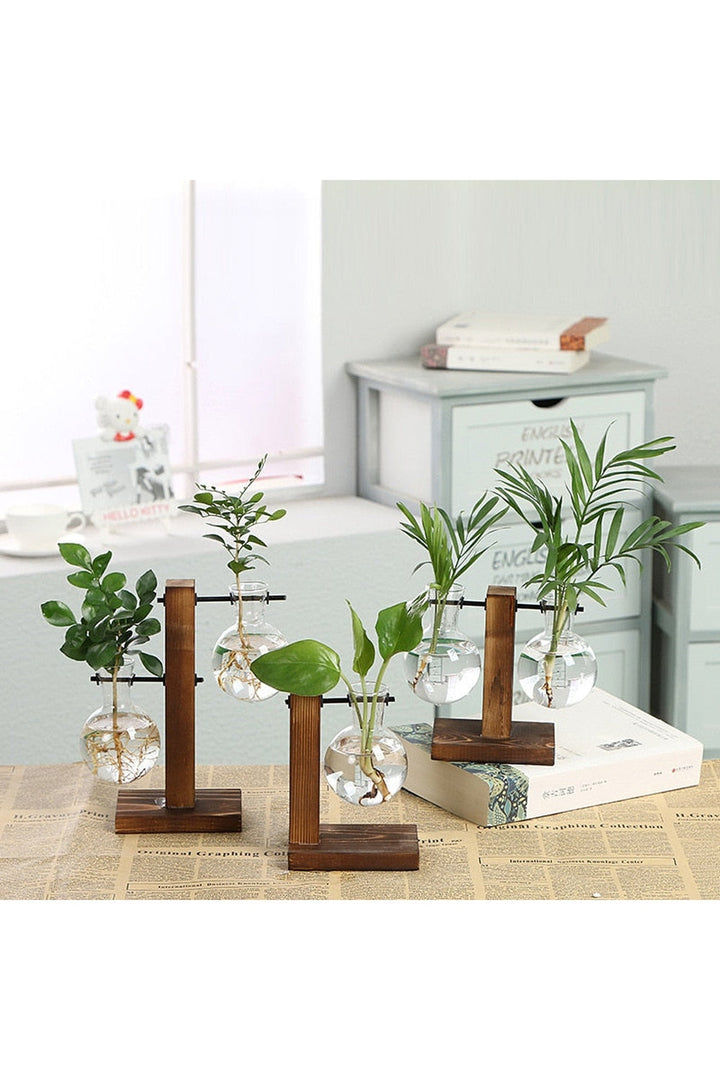 Lisslune | Hydroculture Plant Vase Set