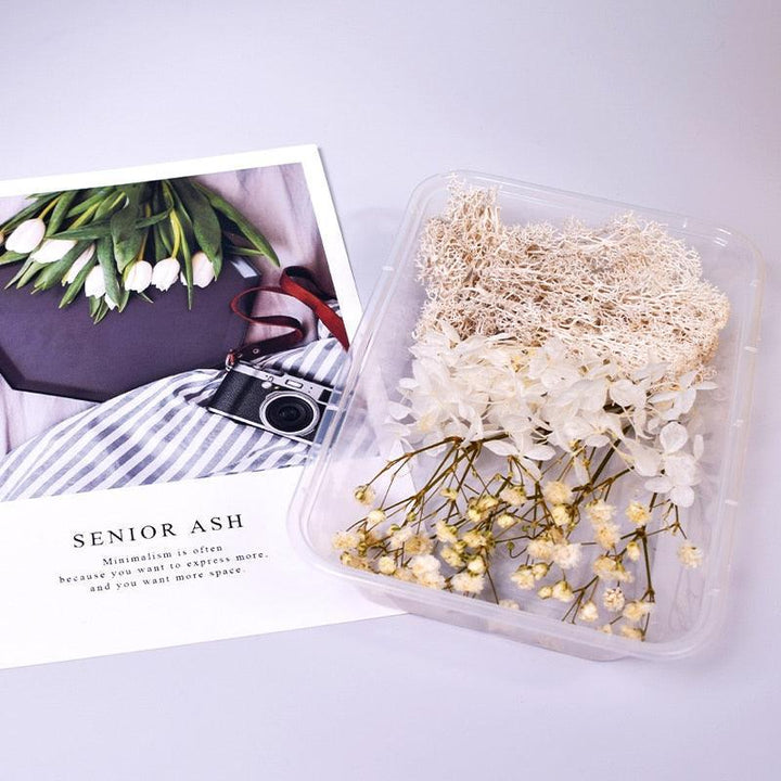 Lisslune | Eternal Floral Inspirations: Preserved Petals for Creative Expressions