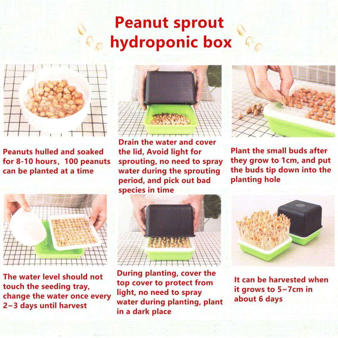 Lisslune | Hydroponic Peanut Sprout Growth Kit with Complete Basin System for Home Gardening