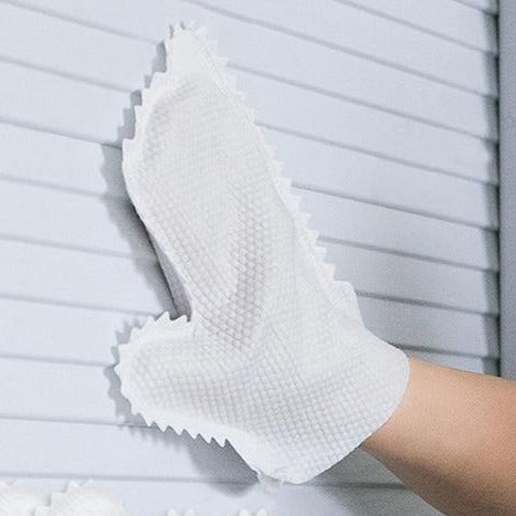 Lisslune | 10Pcs Reusable Microfiber Dust Cleaning Gloves