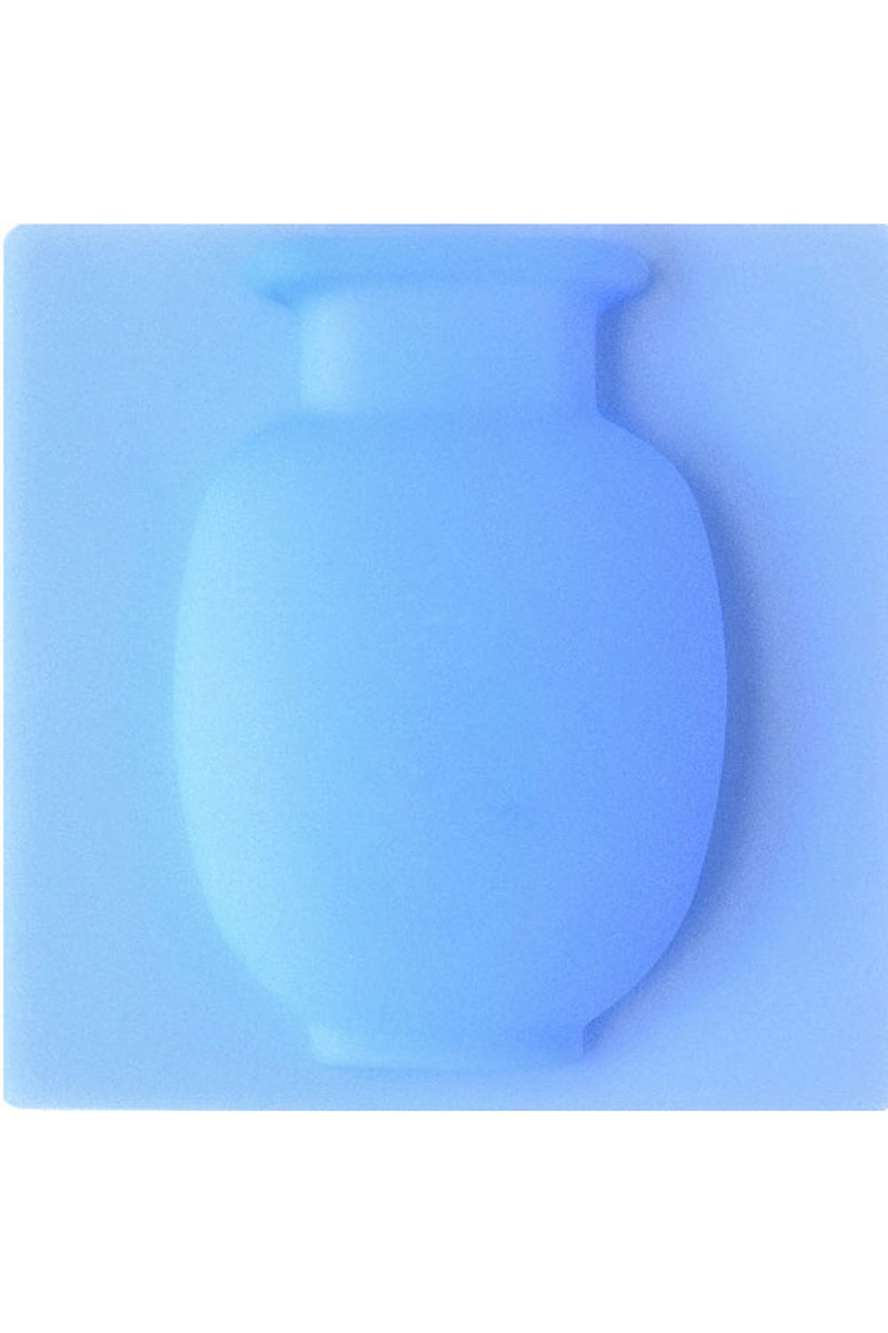 Lisslune | Silicone Sticky Flower Vases