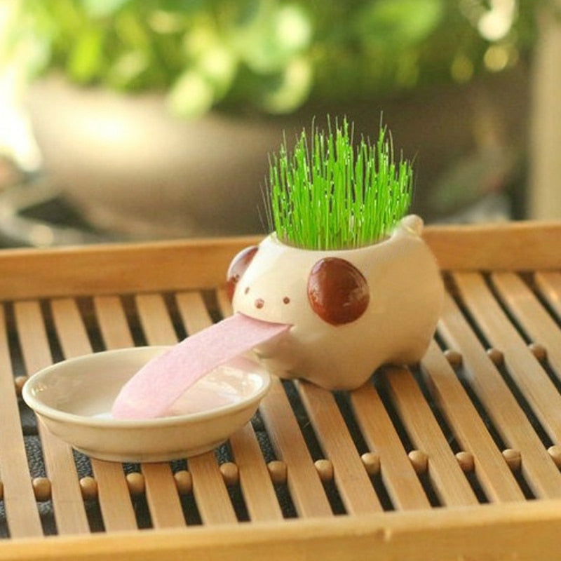 Lisslune | Self-watering flower pot animal motif