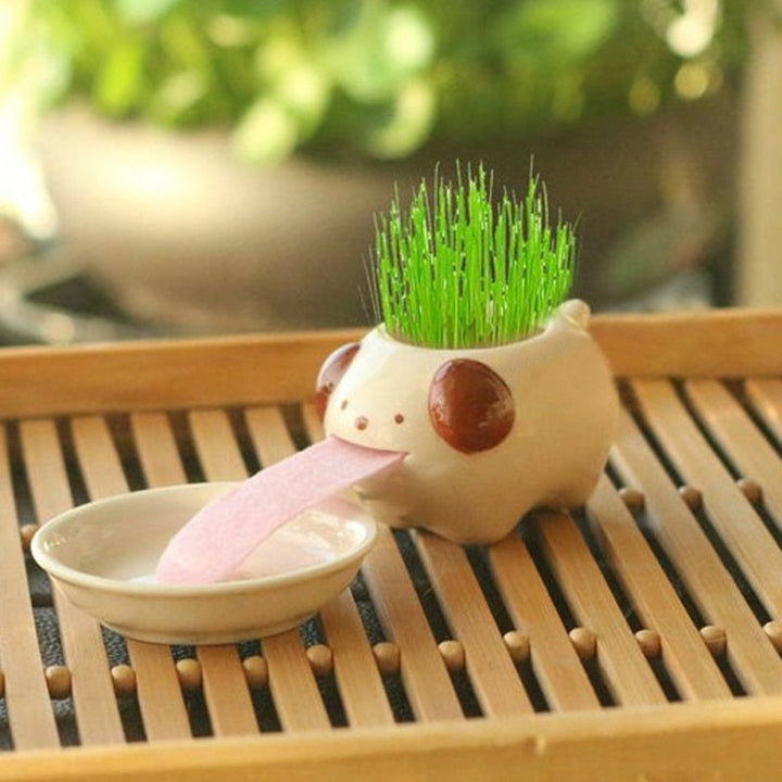Lisslune | Self-watering flower pot animal motif