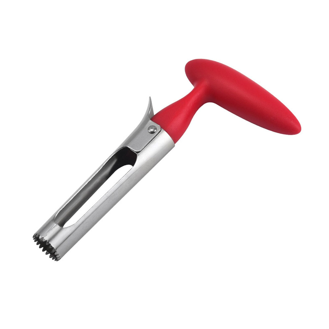 Lisslune | Stainless Steel Apple Seed Remover Tool