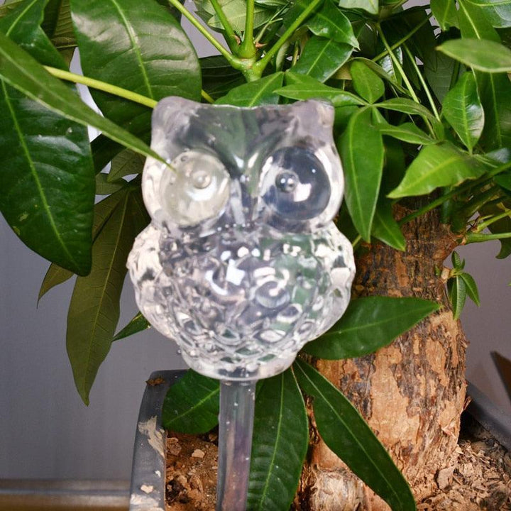 Lisslune | Transparent automatic drip irrigation system for the care of houseplants with water level indicator