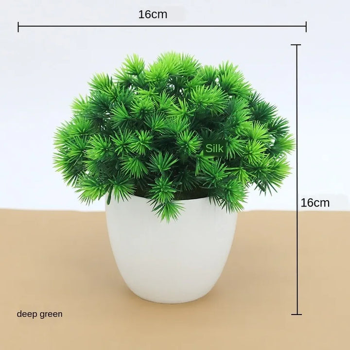 Lisslune | Small Tree Pot Bonsai Plants