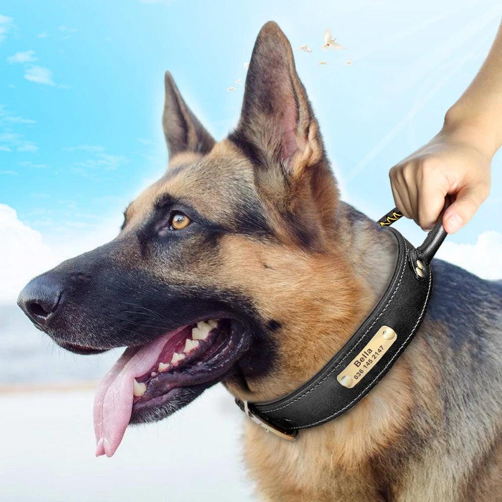 Lisslune | Custom Engraved Premium Leather Dog Collar with Control Handle for Medium to Large Breeds