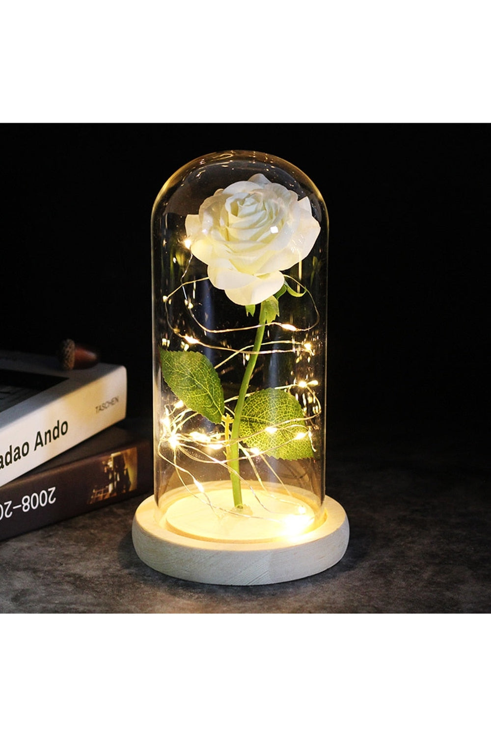 Lisslune | illuminated enchanted rose lamp