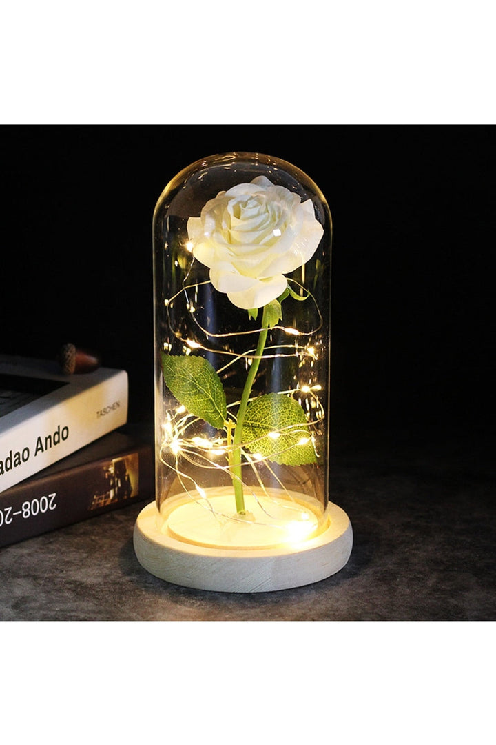 Lisslune | illuminated enchanted rose lamp