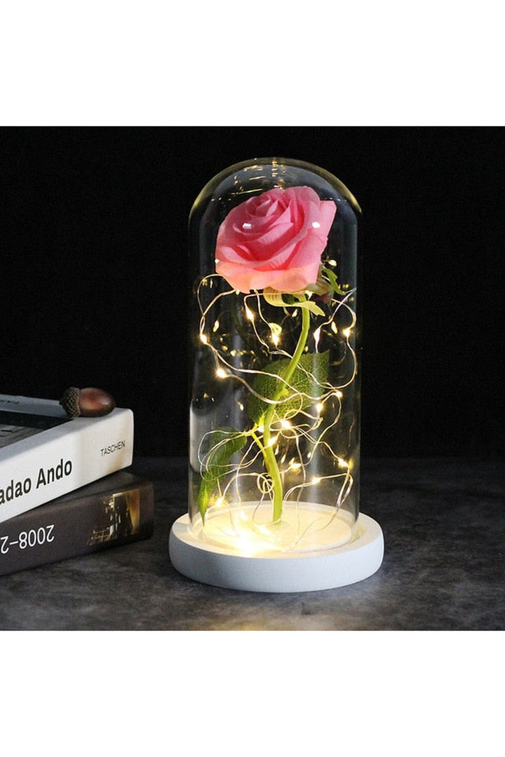 Lisslune | illuminated enchanted rose lamp