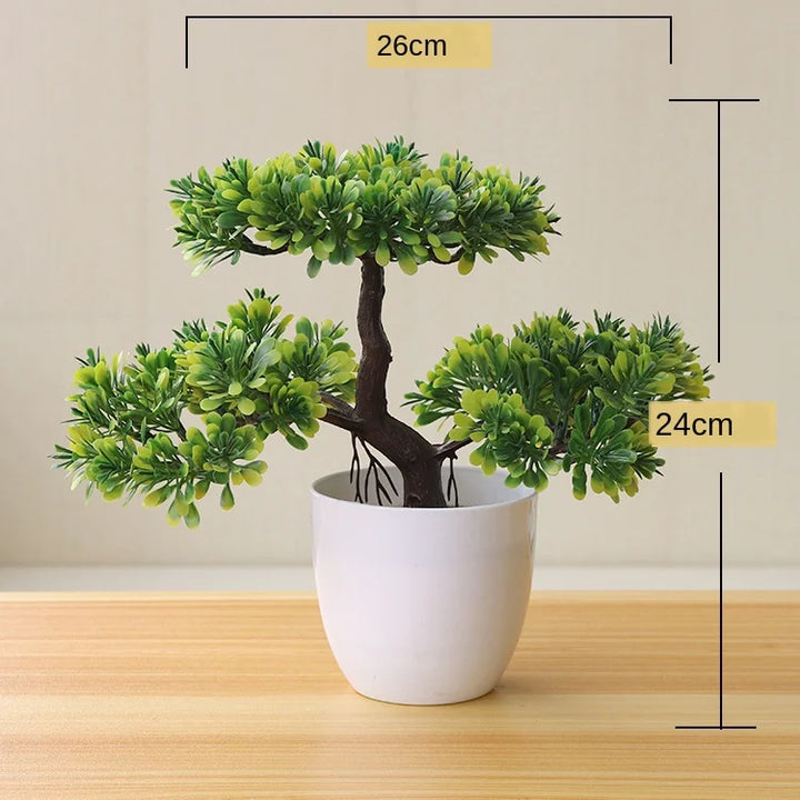 Lisslune | Small Tree Pot Bonsai Plants