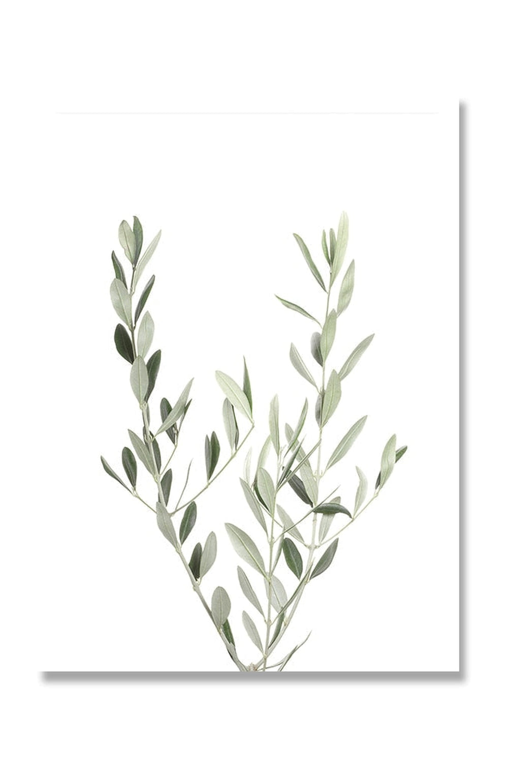 Lisslune | Botanical Art Posters