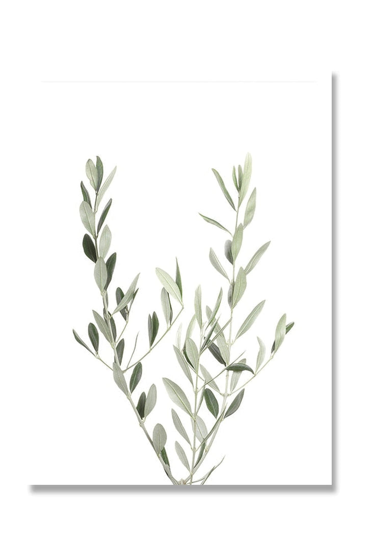 Lisslune | Botanical Art Posters