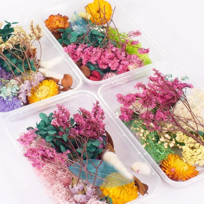 Lisslune | Eternal Floral Inspirations: Preserved Petals for Creative Expressions