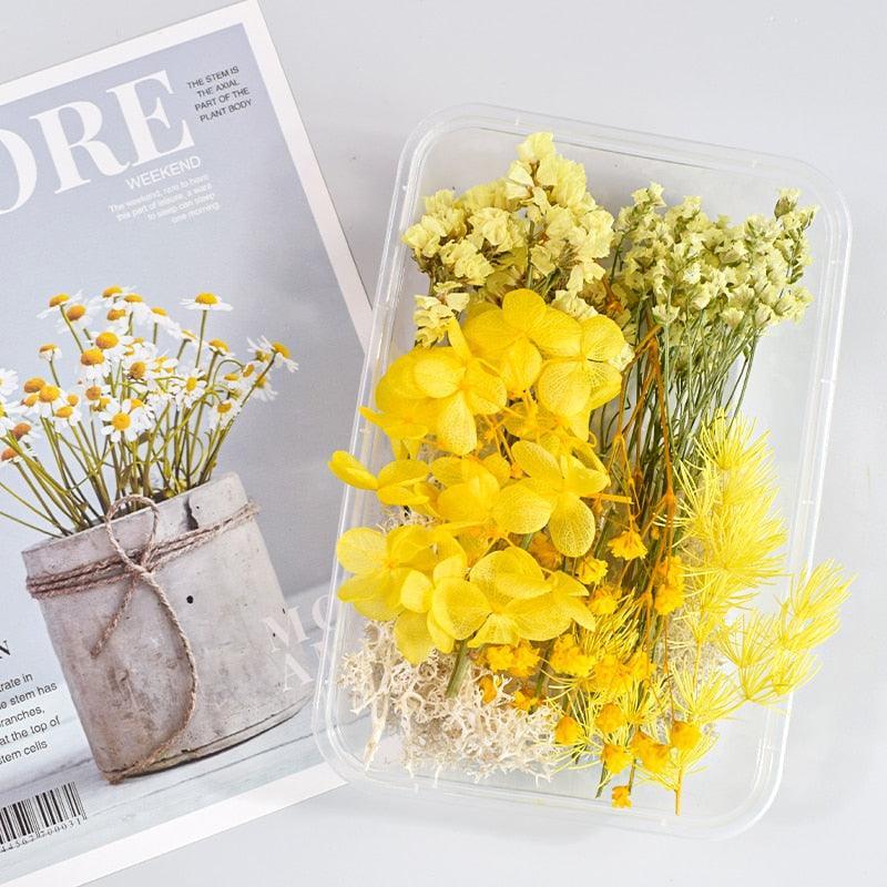 Lisslune | Eternal Floral Inspirations: Preserved Petals for Creative Expressions