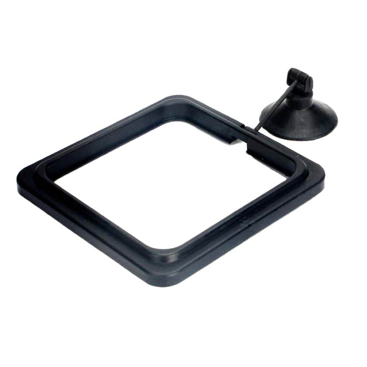 Lisslune | Aquarium feeding ring