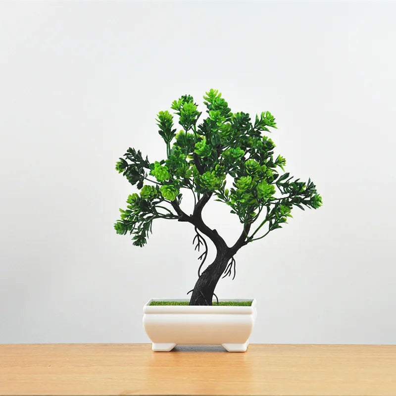 Lisslune | Small Tree Pot Bonsai Plants