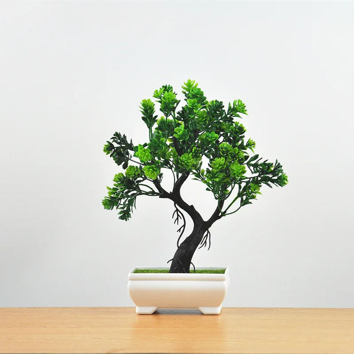 Lisslune | Small Tree Pot Bonsai Plants