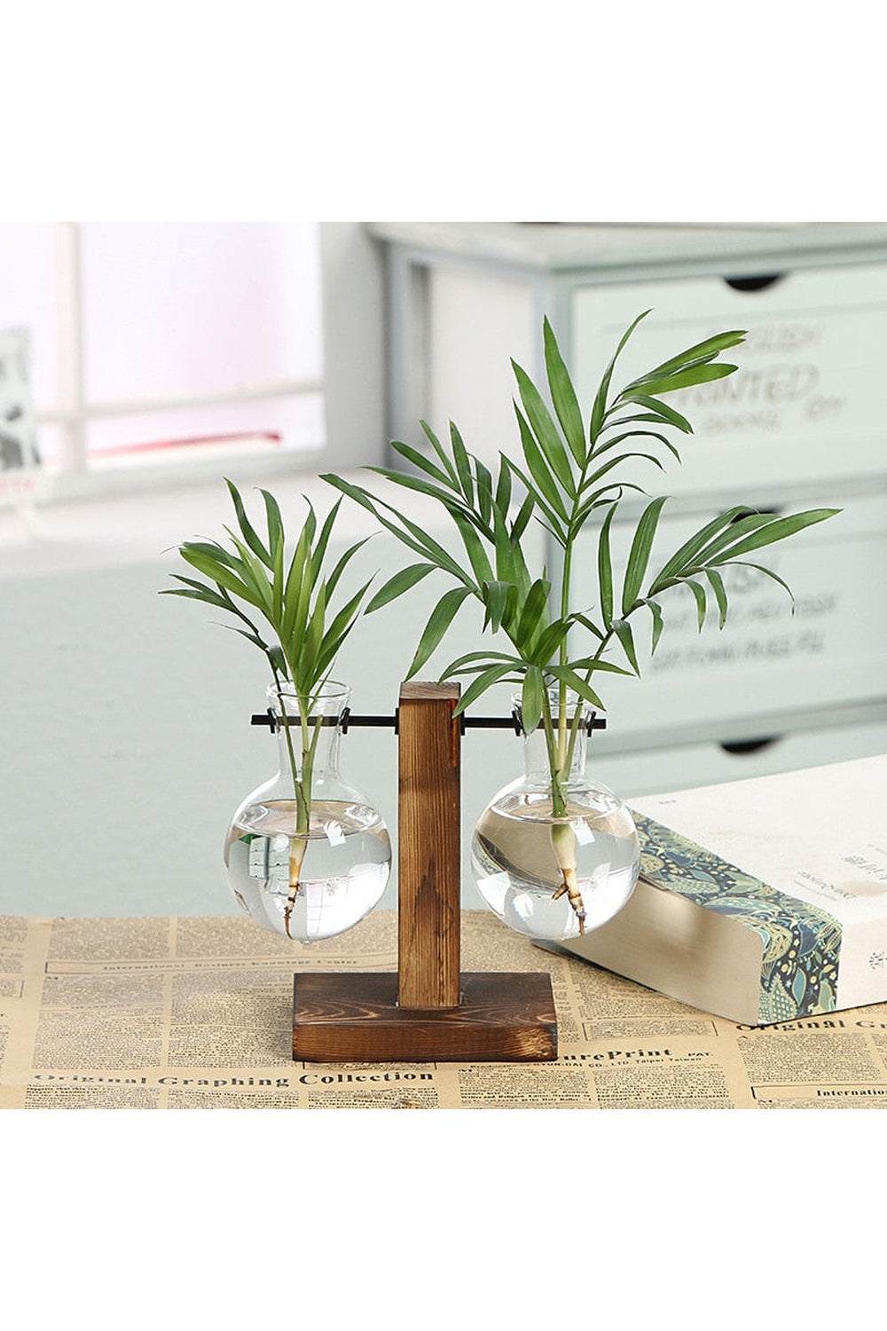 Lisslune | Hydroculture Plant Vase Set