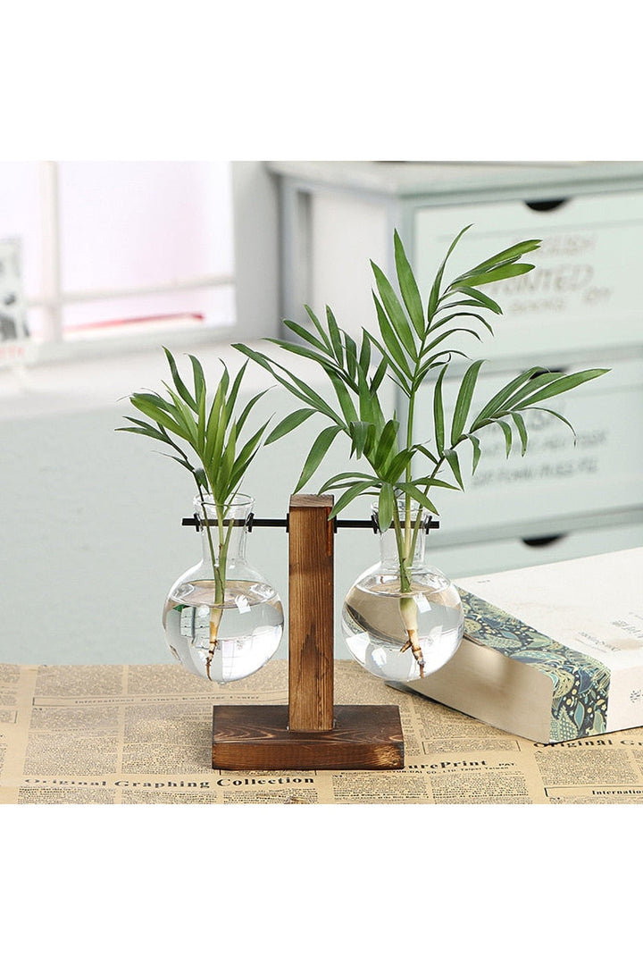 Lisslune | Hydroculture Plant Vase Set