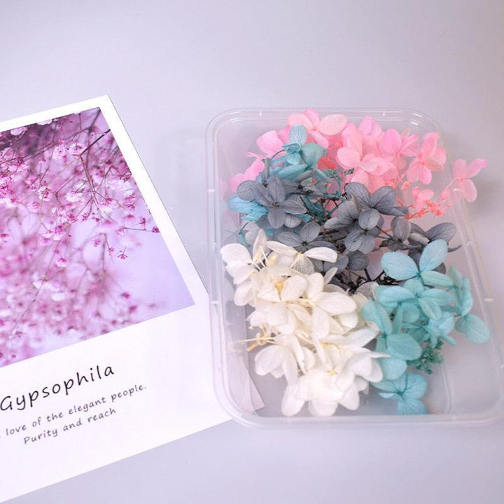 Lisslune | Eternal Floral Inspirations: Preserved Petals for Creative Expressions