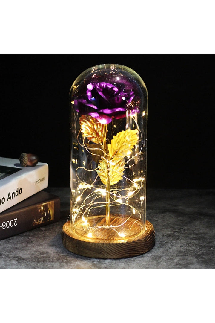 Lisslune | illuminated enchanted rose lamp