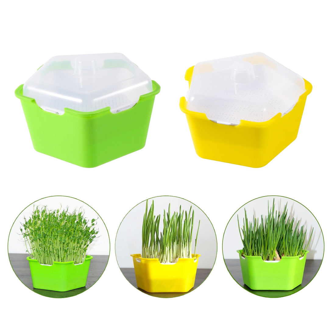 Lisslune | Pentagonal Sprout Haven: Speed up your experience of growing fresh vegetables