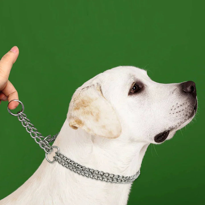 Lisslune | Stainless Steel Dog Training Necklace