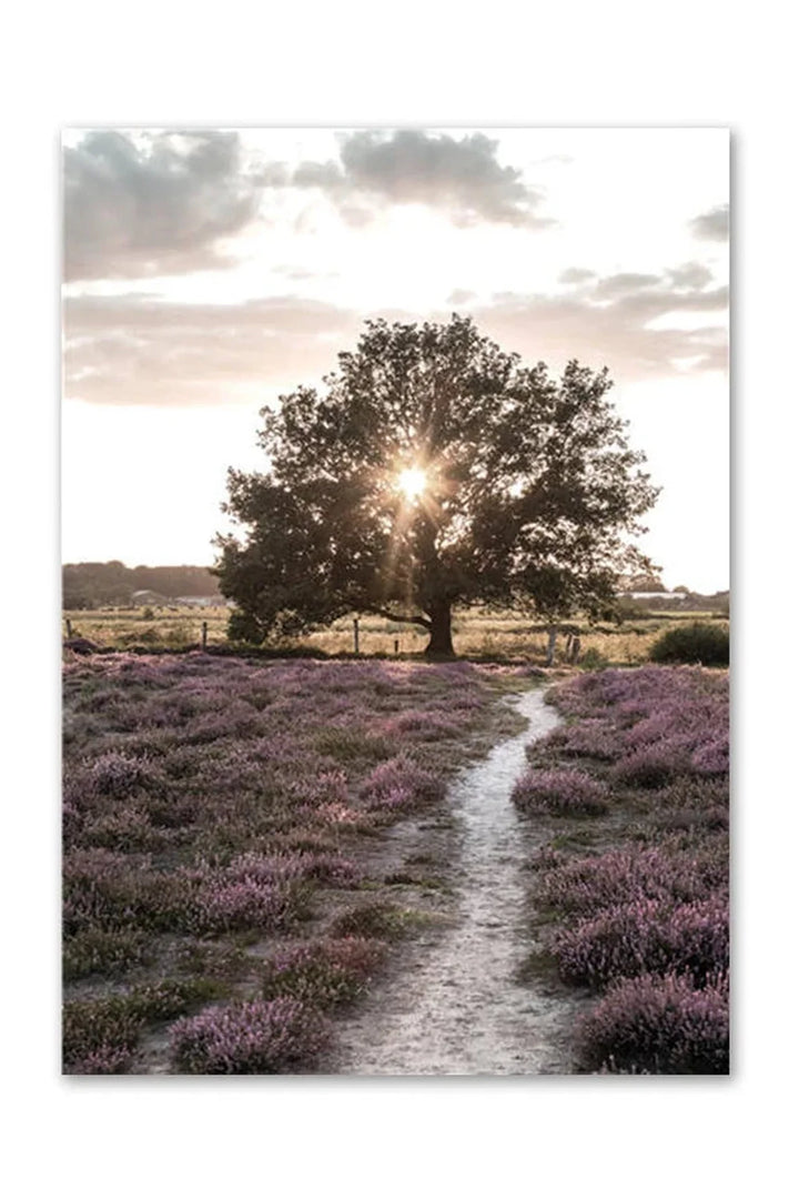 Lisslune | Academy Nordic Nature Canvas Poster