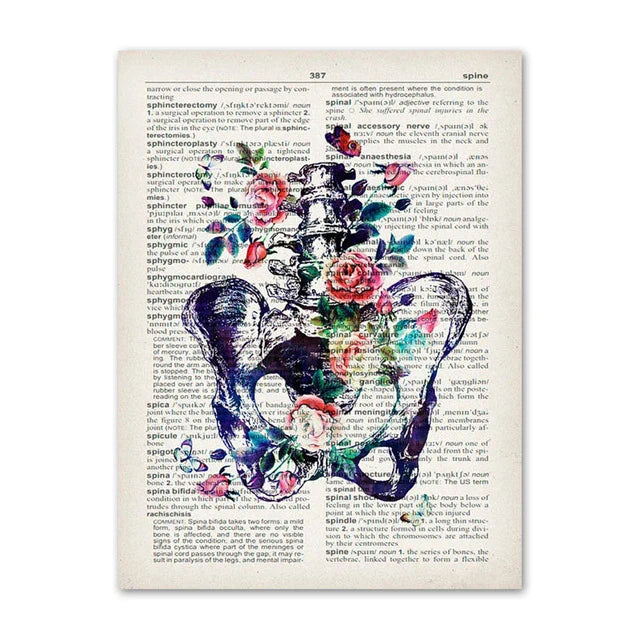 Lisslune | Anatomy Canvas Poster