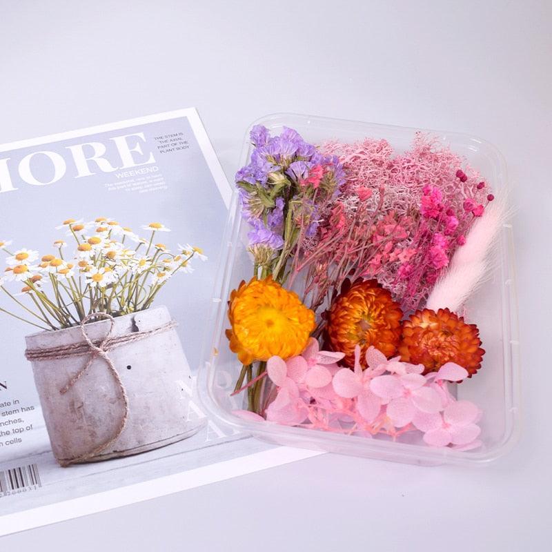 Lisslune | Eternal Floral Inspirations: Preserved Petals for Creative Expressions