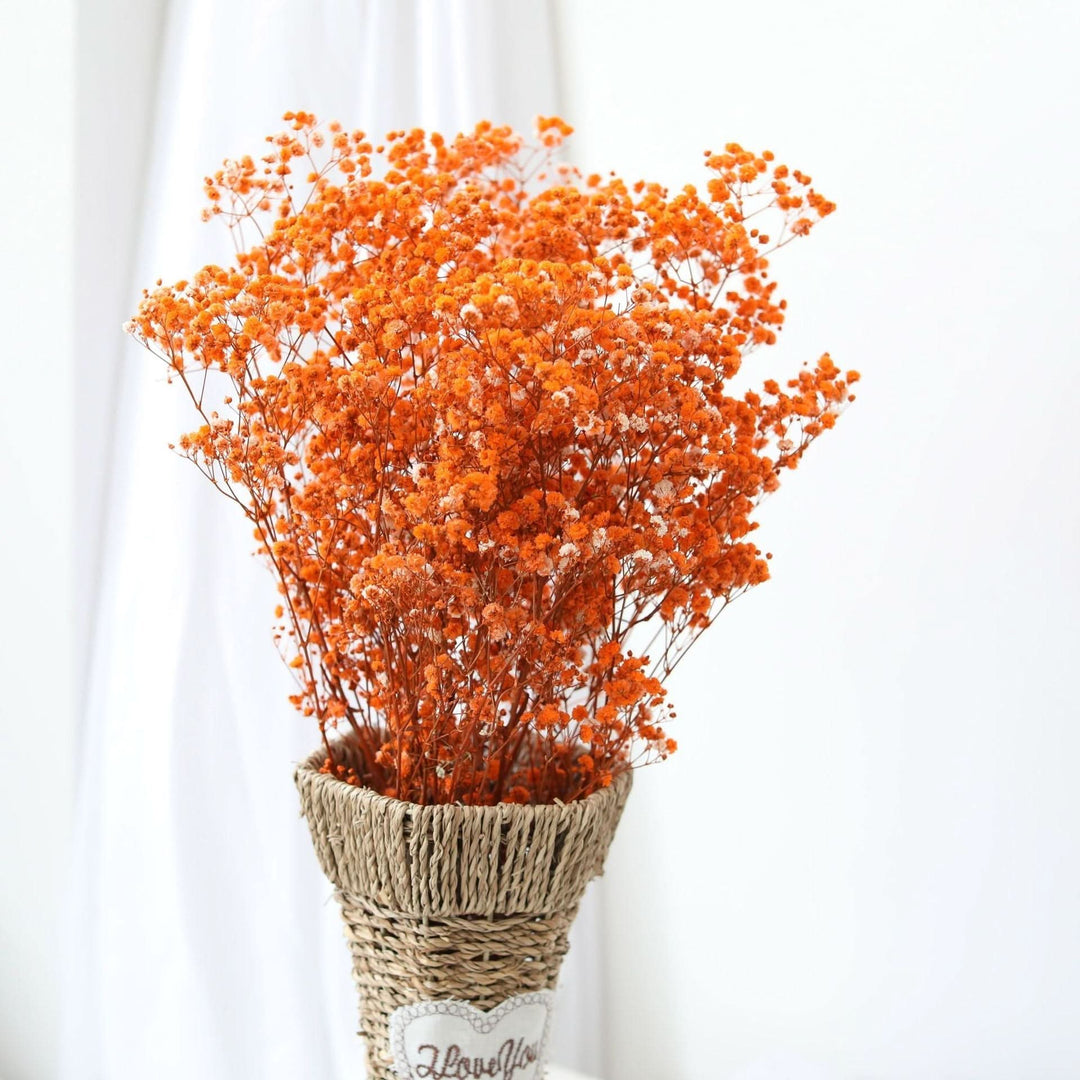 Lisslune | Dried Preserved Gypsophila Flower Bouquet – Natural Decor