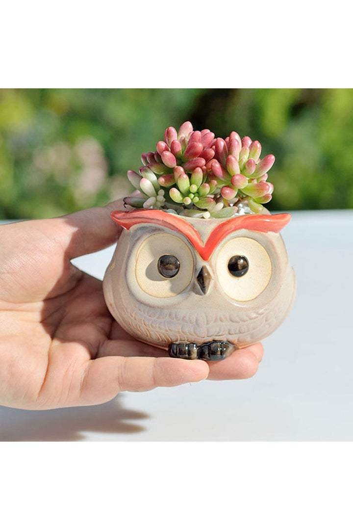 Lisslune | Owl Ceramic Flower Pot