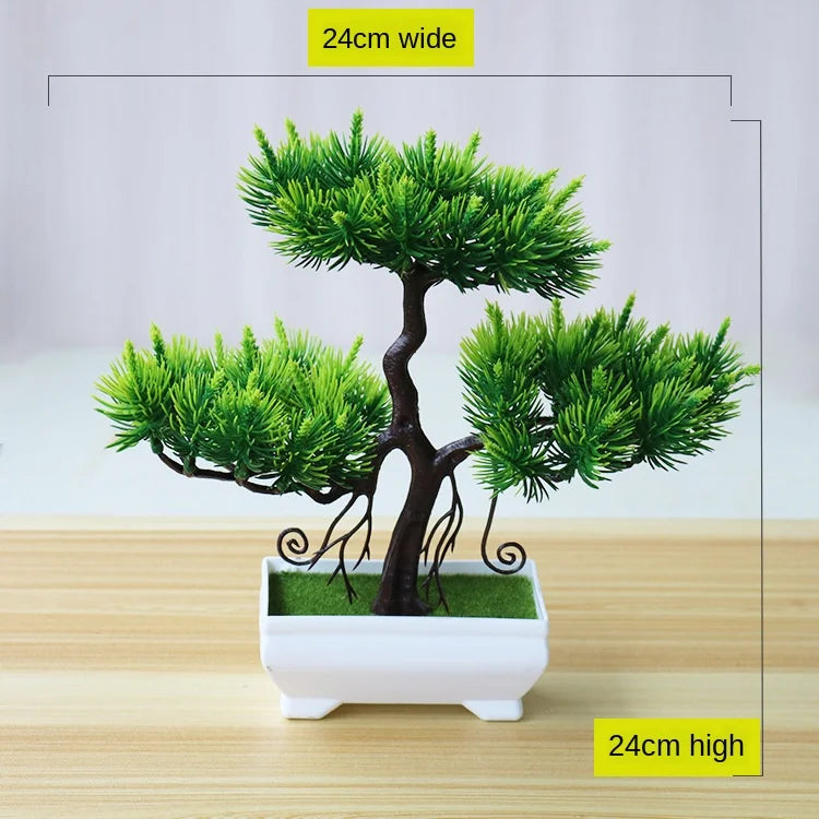 Lisslune | Small Tree Pot Bonsai Plants