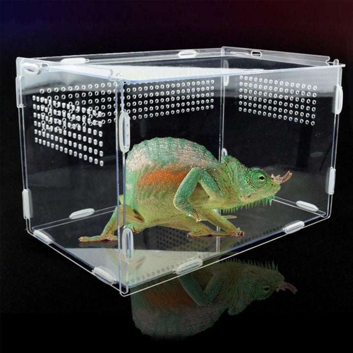 Lisslune | Transparent Acrylic Case for Reptile Habitat and Insect Observation