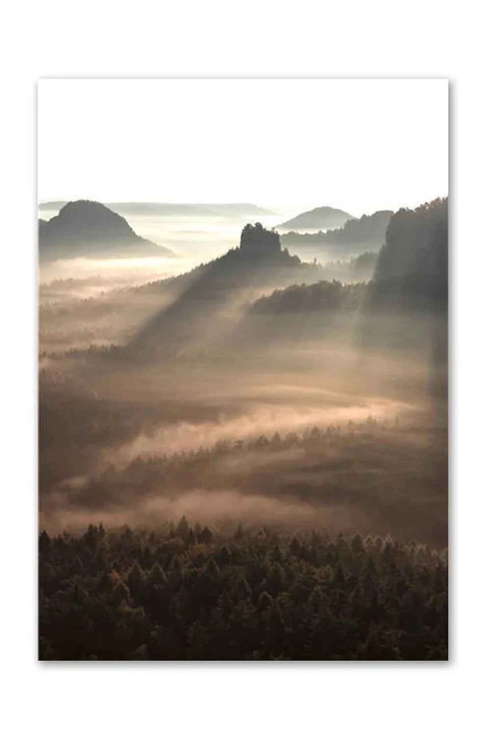 Lisslune | Academy Nordic Nature Canvas Poster