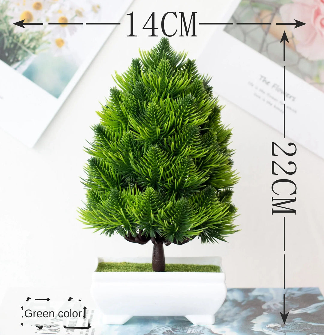Lisslune | Small Tree Pot Bonsai Plants