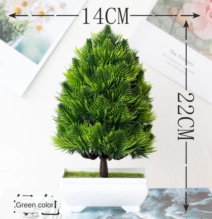 Lisslune | Small Tree Pot Bonsai Plants