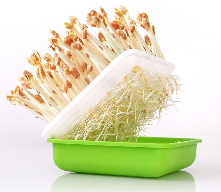 Lisslune | Hydroponic Peanut Sprout Growth Kit with Complete Basin System for Home Gardening